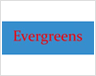 aakash ever-greens Logo