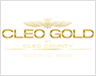 aba-corp cleo-gold Logo