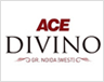 ace divino Logo