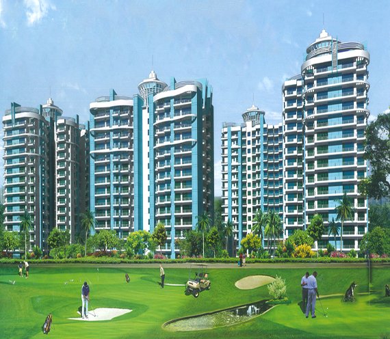 aims Golf Avenue 1