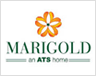 ats marigold Logo