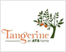 ats tangerine Logo