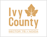 county ivy-county Logo