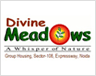 divine divine-meadows Logo
