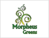 morpheus morpheus-greens Logo