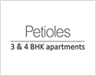 sare petioles Logo