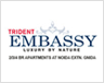 trident embassy Logo