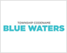 vtp codename-blue-waters Logo