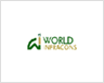 World Infracons Private Limited Logo